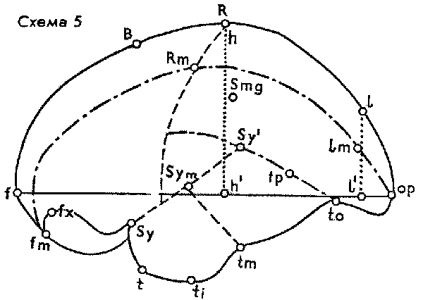 ����� 5