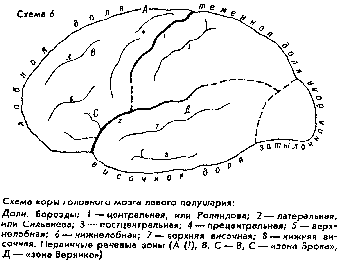 ����� 6