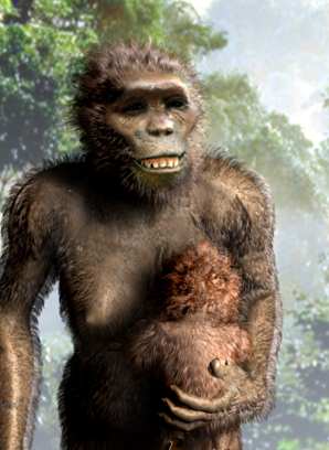   http://www.archaeologyinfo.com/australopithecusafarensis.htm